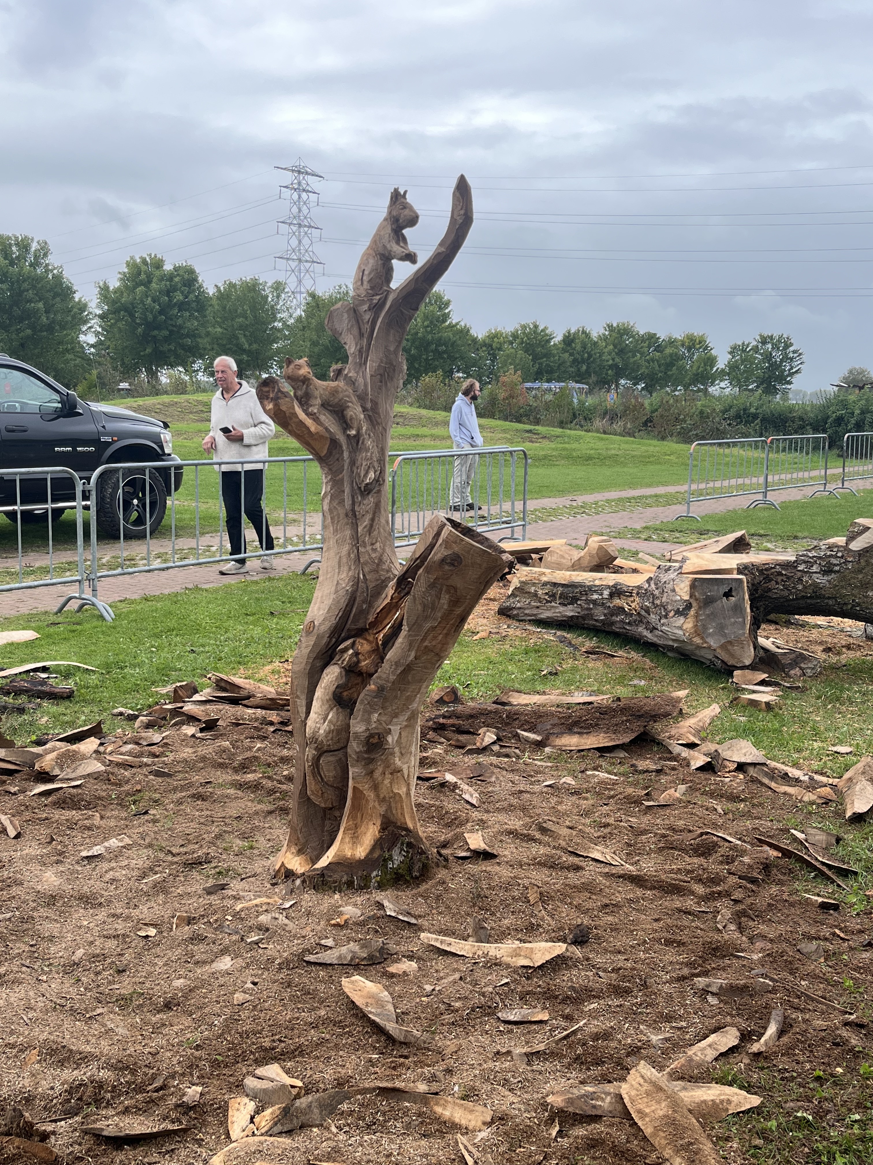 Natuurboom foto 3