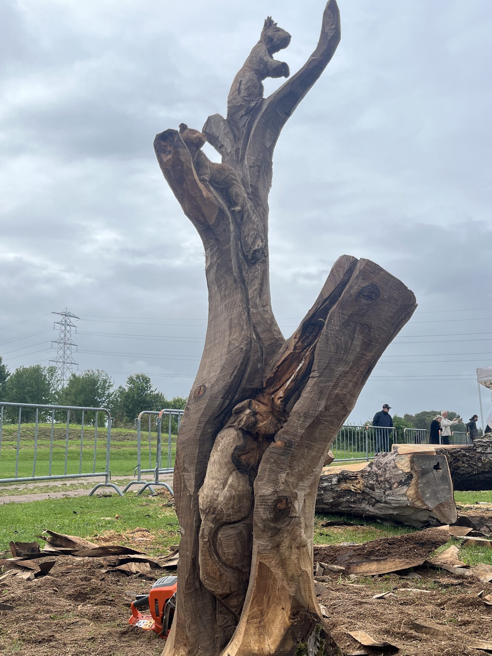 Natuurboom foto 5